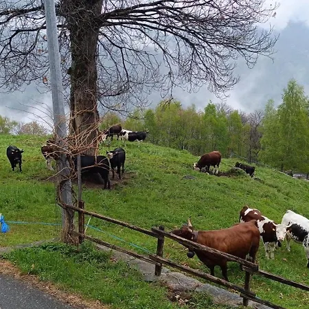 Marianna - Relax In *