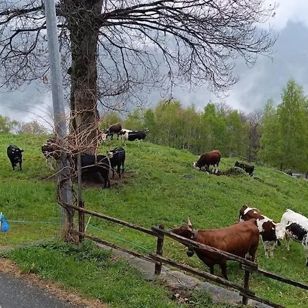 Marianna - Relax In Alpesi faház Quincinetto